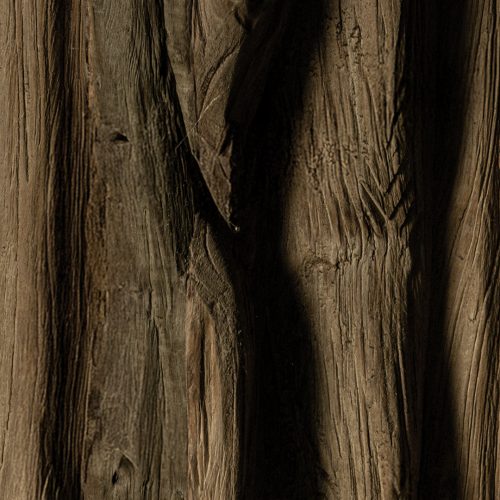 Tane round - page 4.2